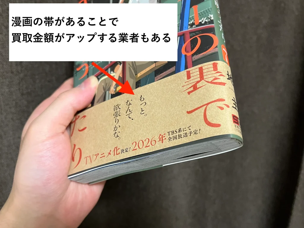 漫画の帯に当たる部分