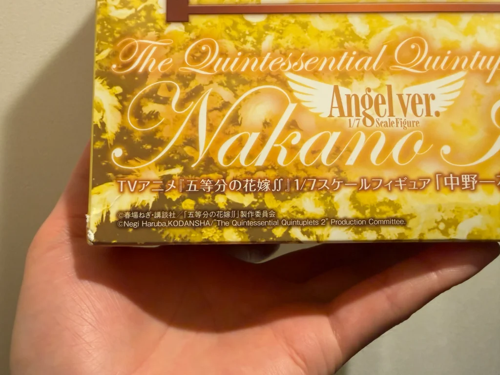 外箱にコピーライトが記載されている